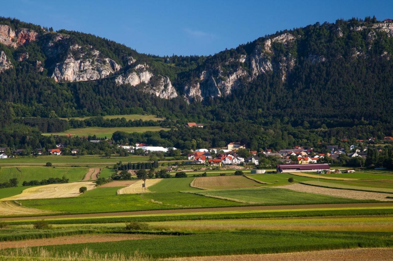 Hotel Farmhouse - Hohe Wand Stollhof Exterior foto